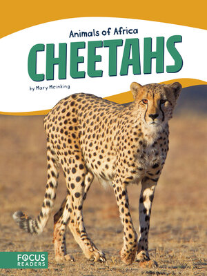 cover image of Cheetahs